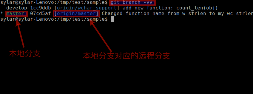 ../../_images/tracking_branch.png